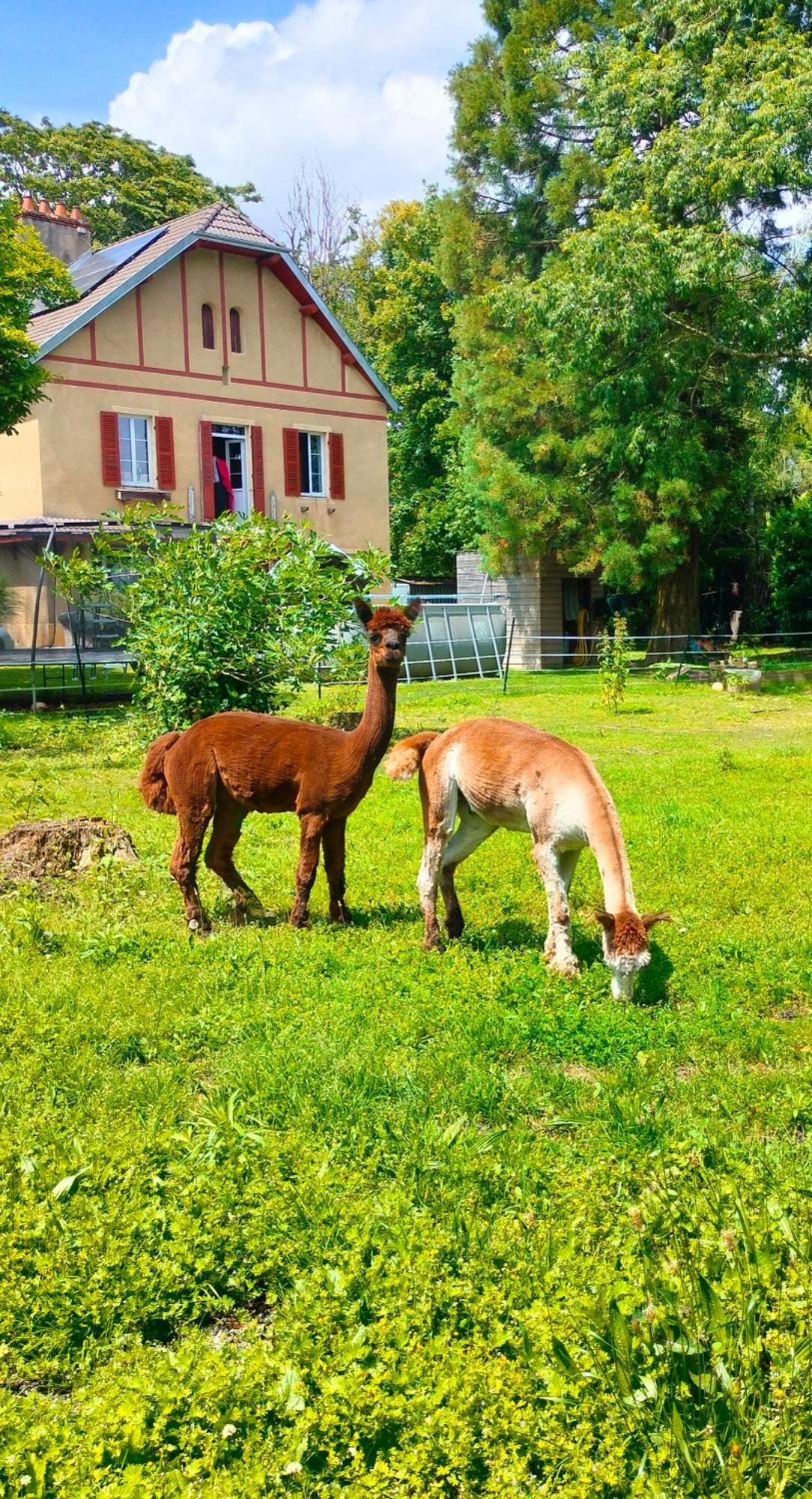 Calme Et Volupte Bed & Breakfast *